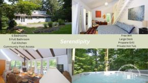 Serendipity - Large 5BR with a Hot Tub
